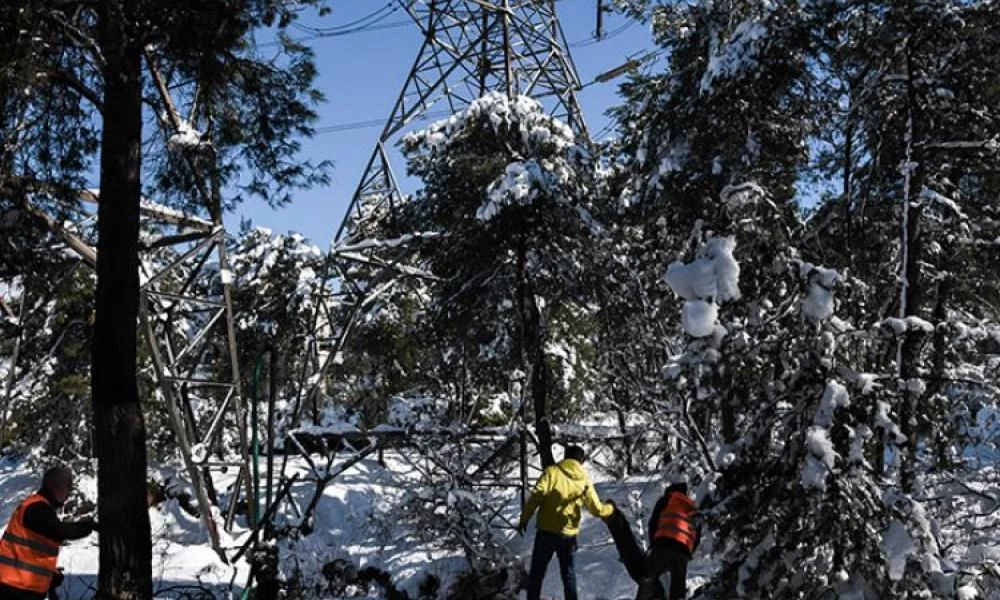 «Μήδεια»: Γιατί έπεσαν τόσα πολλά δέντρα – Τι έδειξε η ανάλυση του χιονιού